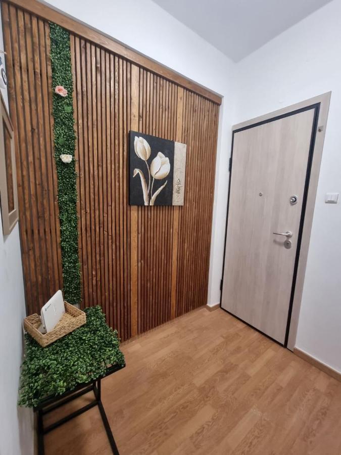 Apartment Pine Tree *